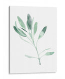 Saigy Ii Simple - Emma Scarvey | Cuadro decorativo de Canvas Lab