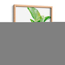 Fiddle Higo I - B. Hoola Van Nooten | Cuadro decorativo de Canvas Lab