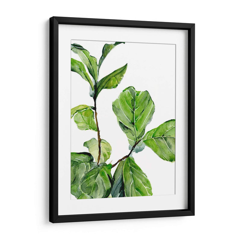 Fiddle Fig Ii - B. Hoola Van Nooten | Cuadro decorativo de Canvas Lab