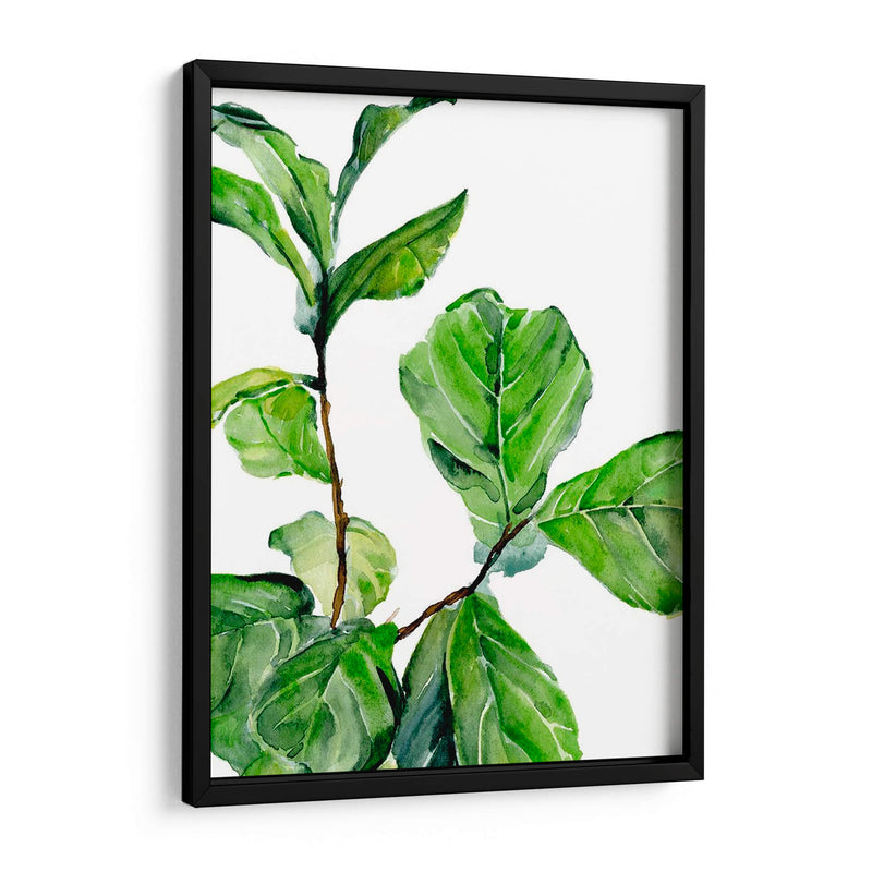 Fiddle Fig Ii - B. Hoola Van Nooten | Cuadro decorativo de Canvas Lab