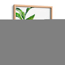 Fiddle Fig Ii - B. Hoola Van Nooten | Cuadro decorativo de Canvas Lab