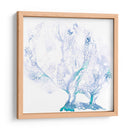 Fan De Mar Azul Marino I - B. Hoola Van Nooten | Cuadro decorativo de Canvas Lab