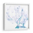 Fan De Mar Azul Marino I - B. Hoola Van Nooten | Cuadro decorativo de Canvas Lab