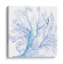 Ventilador Marino De La Marina Ii - B. Hoola Van Nooten | Cuadro decorativo de Canvas Lab