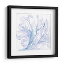 Ventilador Marino De La Marina Ii - B. Hoola Van Nooten | Cuadro decorativo de Canvas Lab