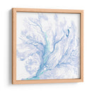 Ventilador Marino De La Marina Ii - B. Hoola Van Nooten | Cuadro decorativo de Canvas Lab