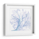 Ventilador Marino De La Marina Ii - B. Hoola Van Nooten | Cuadro decorativo de Canvas Lab