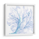 Ventilador Marino De La Marina Ii - B. Hoola Van Nooten | Cuadro decorativo de Canvas Lab