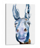 Dulce Burro I - B. Hoola Van Nooten | Cuadro decorativo de Canvas Lab