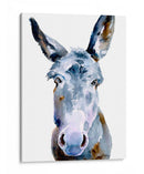 Dulce Burro Ii - B. Hoola Van Nooten | Cuadro decorativo de Canvas Lab