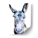 Dulce Burro Ii - B. Hoola Van Nooten | Cuadro decorativo de Canvas Lab