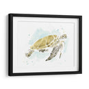 Estudio De Tortuga Marina Acuarela I - June Erica Vess | Cuadro decorativo de Canvas Lab