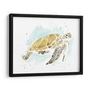 Estudio De Tortuga Marina Acuarela I - June Erica Vess | Cuadro decorativo de Canvas Lab