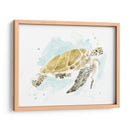 Estudio De Tortuga Marina Acuarela I - June Erica Vess | Cuadro decorativo de Canvas Lab