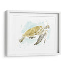 Estudio De Tortuga Marina Acuarela I - June Erica Vess | Cuadro decorativo de Canvas Lab