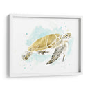 Estudio De Tortuga Marina Acuarela I - June Erica Vess | Cuadro decorativo de Canvas Lab