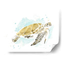 Estudio De Tortuga Marina Acuarela I - June Erica Vess | Cuadro decorativo de Canvas Lab