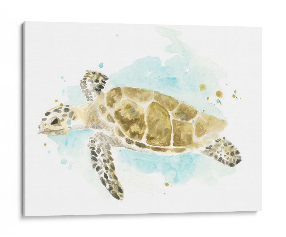 Estudio De Tortuga Marina Acuarela Ii - June Erica Vess | Cuadro decorativo de Canvas Lab