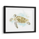 Estudio De Tortuga Marina Acuarela Ii - June Erica Vess | Cuadro decorativo de Canvas Lab