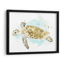 Estudio De Tortuga Marina Acuarela Ii - June Erica Vess | Cuadro decorativo de Canvas Lab