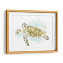 Estudio De Tortuga Marina Acuarela Ii - June Erica Vess | Cuadro decorativo de Canvas Lab