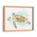 Estudio De Tortuga Marina Acuarela Ii - June Erica Vess | Cuadro decorativo de Canvas Lab