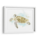 Estudio De Tortuga Marina Acuarela Ii - June Erica Vess | Cuadro decorativo de Canvas Lab