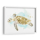 Estudio De Tortuga Marina Acuarela Ii - June Erica Vess | Cuadro decorativo de Canvas Lab