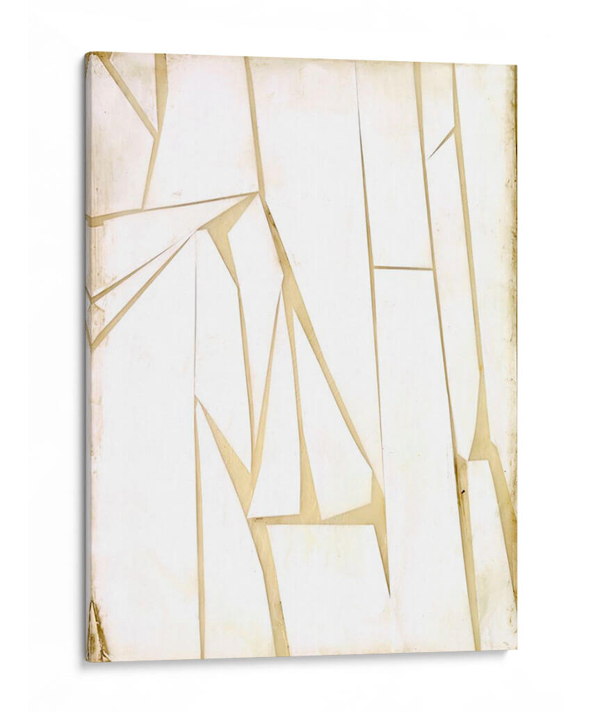 Fragmentos De Antigüedad Ii - Jennifer Goldberger | Cuadro decorativo de Canvas Lab