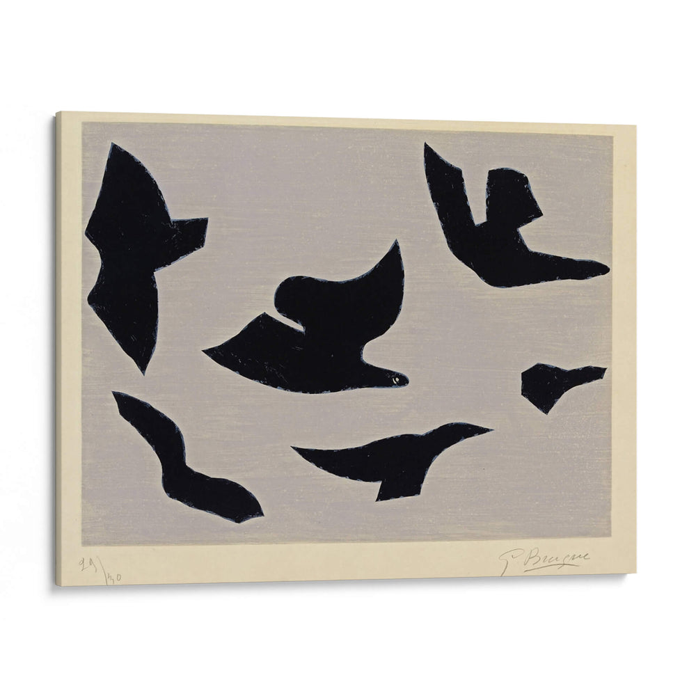 El orden de las aves | Cuadro decorativo de Canvas Lab