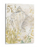Verdant Shell Fresco I - June Erica Vess | Cuadro decorativo de Canvas Lab