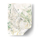 Verdant Shell Fresco Ii - June Erica Vess | Cuadro decorativo de Canvas Lab