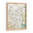 Shell Verde Fresco Iii - June Erica Vess | Cuadro decorativo de Canvas Lab