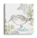 Sandpipers Junto Al Mar Ii - June Erica Vess | Cuadro decorativo de Canvas Lab