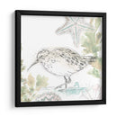 Sandpipers Junto Al Mar Ii - June Erica Vess | Cuadro decorativo de Canvas Lab