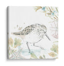 Sandpipers Junto Al Mar Iii - June Erica Vess | Cuadro decorativo de Canvas Lab