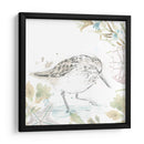 Sandpipers Junto Al Mar Iii - June Erica Vess | Cuadro decorativo de Canvas Lab