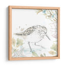 Sandpipers Junto Al Mar Iii - June Erica Vess | Cuadro decorativo de Canvas Lab