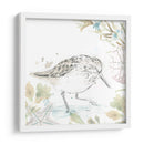 Sandpipers Junto Al Mar Iii - June Erica Vess | Cuadro decorativo de Canvas Lab