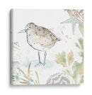 Sandpipers Junto Al Mar Iv - June Erica Vess | Cuadro decorativo de Canvas Lab