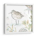 Sandpipers Junto Al Mar Iv - June Erica Vess | Cuadro decorativo de Canvas Lab