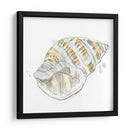 Bosquejo De Cáscara De Cidro I - June Erica Vess | Cuadro decorativo de Canvas Lab