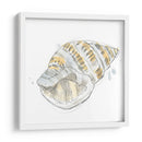 Bosquejo De Cáscara De Cidro I - June Erica Vess | Cuadro decorativo de Canvas Lab