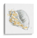 Bosquejo De Cáscara De Citrona Iii - June Erica Vess | Cuadro decorativo de Canvas Lab