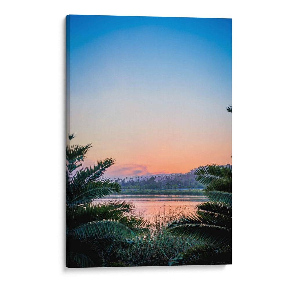 Vistazo entre las palmas | Cuadro decorativo de Canvas Lab