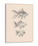 Goldfish I - Melissa Wang | Cuadro decorativo de Canvas Lab