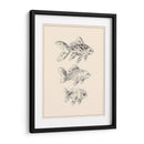 Goldfish I - Melissa Wang | Cuadro decorativo de Canvas Lab