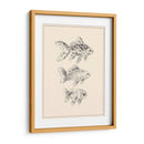 Goldfish I - Melissa Wang | Cuadro decorativo de Canvas Lab