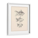 Goldfish I - Melissa Wang | Cuadro decorativo de Canvas Lab