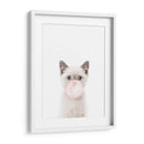Cat Bubble Gum | Cuadro decorativo de Canvas Lab